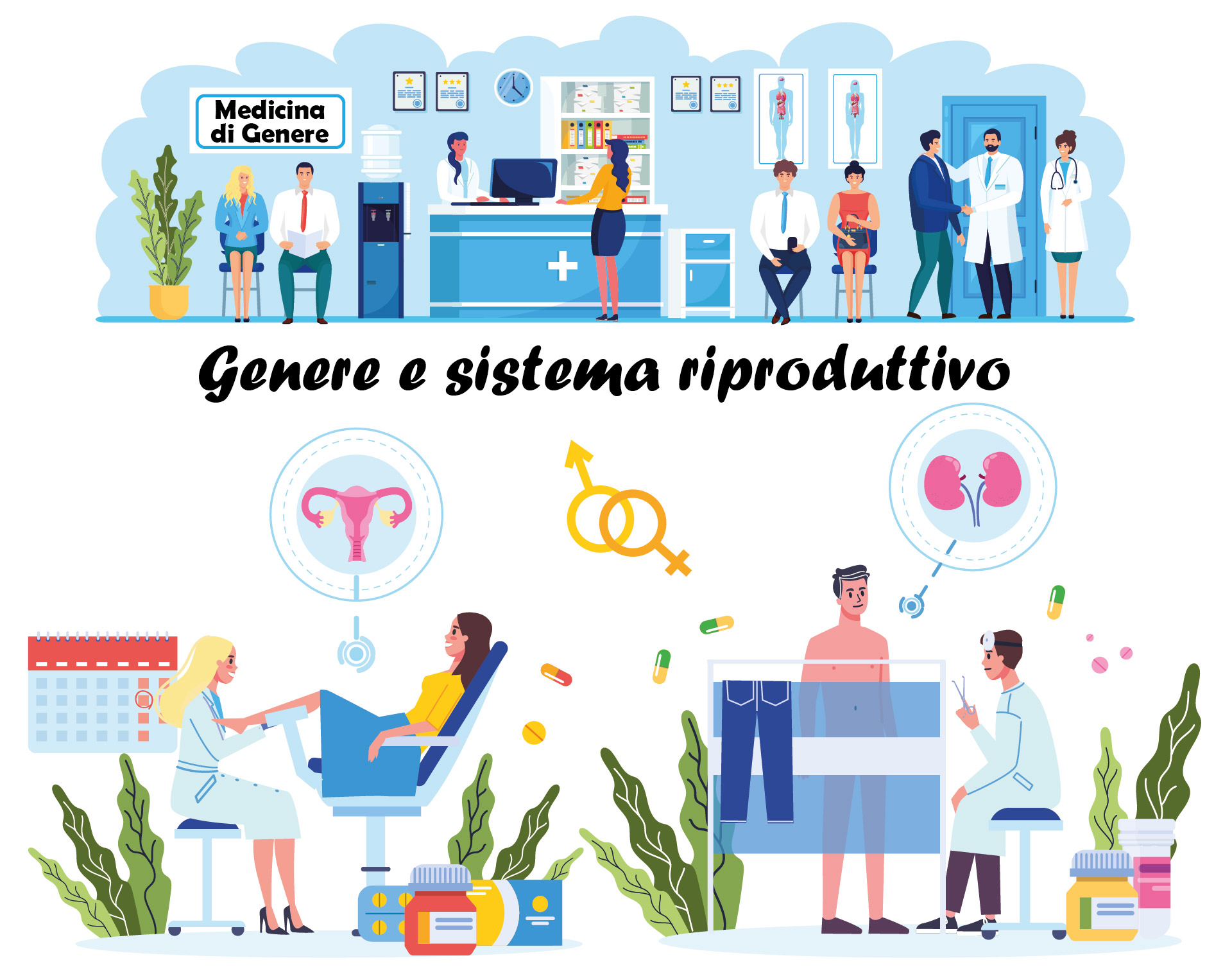 GENERE E SISTEMA RIPRODUTTIVO