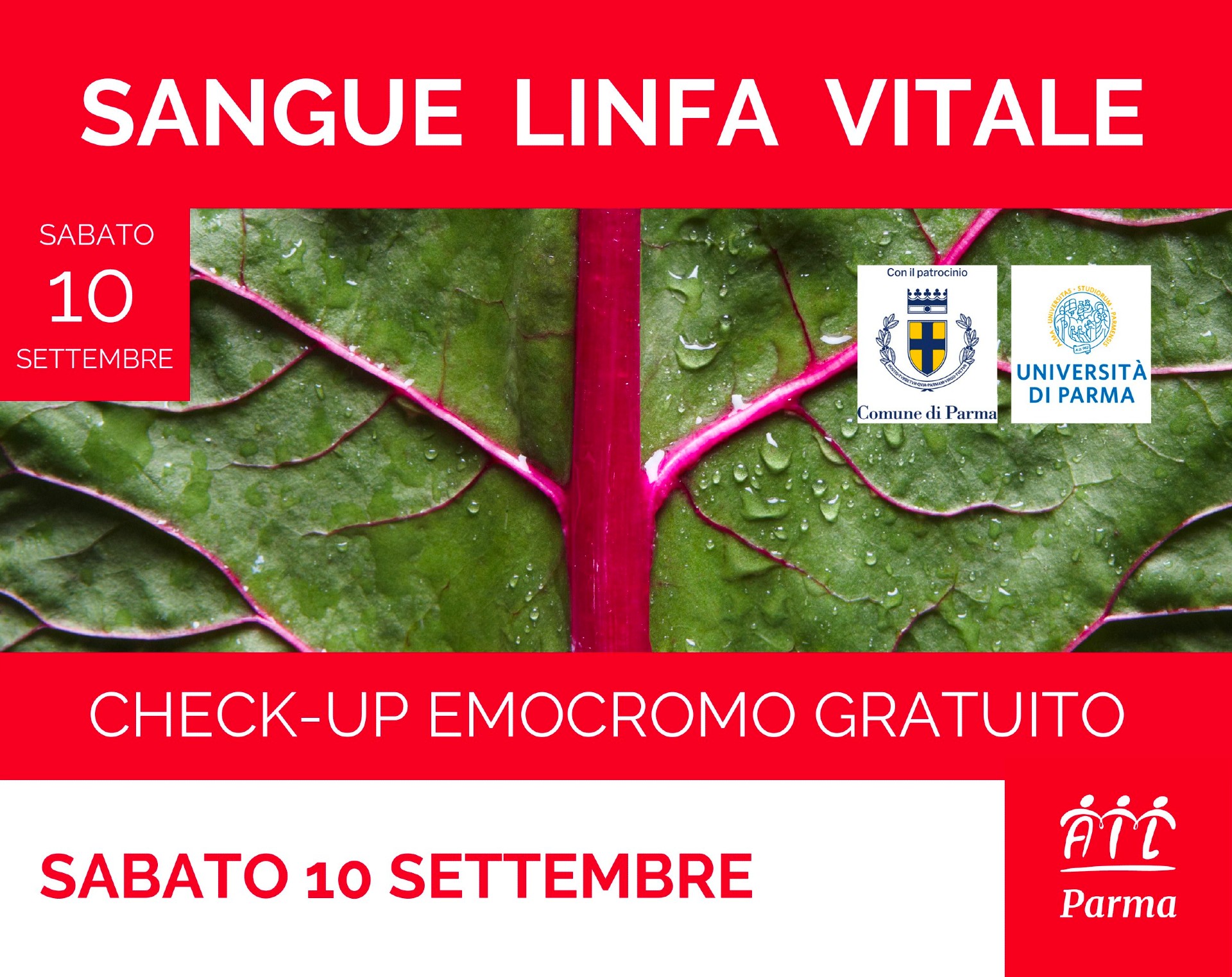 SANGUE LINFA VITALE